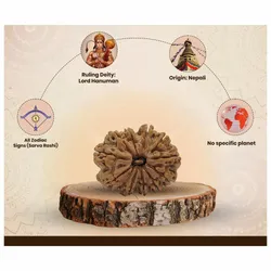 SHOP_BY_CATEGORY_PENDANTS__Amoghtantra