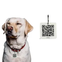 SHOP_BY_CATEGORY_ID_TAGS__Pawsitivity