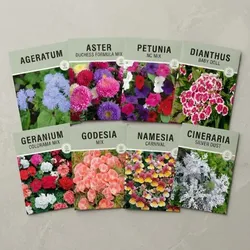 SHOP_BY_CATEGORY__SEEDS__BIOCARVE SEEDS