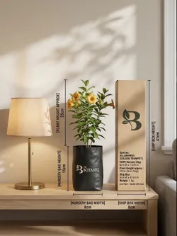 SHOP_BY_CATEGORY_Flowers__Sonal Agritech