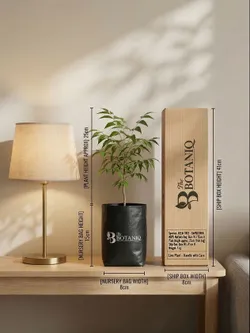 SHOP_BY_CATEGORY_Medicinal_Plants__Sonal Agritech