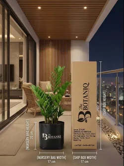 SHOP_BY_CATEGORY_Cacti_And_Succulents__Sonal Agritech