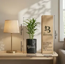 SHOP_BY_CATEGORY_Bamboo__Sonal Agritech