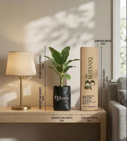 SHOP_BY_CATEGORY_Fruit_And_Fruit_Trees__Sonal Agritech