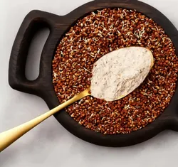 SHOP_BY_CATEGORY_PROTEIN__ ALL That Sprouts