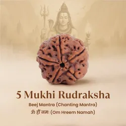 SHOP_BY_CATEGORY_Rudraksha_Items__VEDASTRO MART