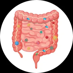 BY_HEALTH_BENEFITS_Digestive_Health__Herbclinic