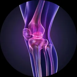 BY_HEALTH_BENEFITS_Bone_and_Joint__Herbclinic