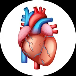 BY_HEALTH_BENEFITS_Heart_Health__Herbclinic