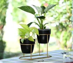 SHOP_BY_CATEGORY_Plant_Stand__Desi Haven