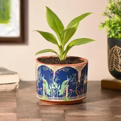 SHOP_BY_CATEGORY_PLANTERS__Gathari