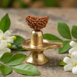 SHOP_BY_CATEGORY_RUDRAKSHA__Shinestone India