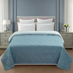 SHOP_BY_CATEGORY_AC_COMFORTER__Bromwick