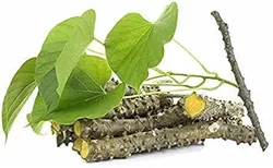 SHOP_BY_CATEGORY_ALL_PRODUCTS__SHREE GOVARDHAN PHARMA PVT.LTD