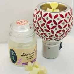 SHOP_BY_CATEGORY_Wax_Freshners__ENLUSHED