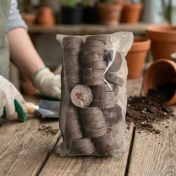 SHOP_BY_CATEGORY_GROW_YOUR_OWN_KIT__Seeddha Agroceuticals LLP