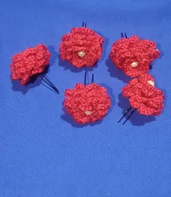 SHOP_BY_CATEGORY_HAIR_CLIP__Brijnandan 