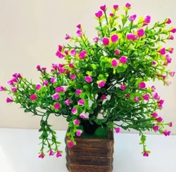 SHOP_BY_CATEGORY_NEW_ARRIVALS__Phulwari 