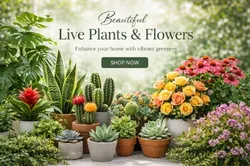 SHOP_BY_CATEGORY_GARDENING_PLANTS__Phulwari 
