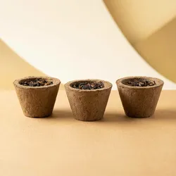 SHOP_BY_CATEGORY_DHOOP_AND_CAMPHOR___Divine NKB Naturals