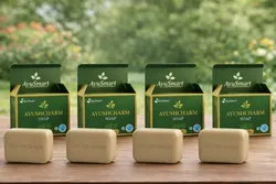 SHOP_BY_CATEGORY_Solid_Soap_Bars__Store Name