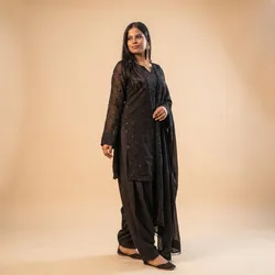 SHOP_BY_CATEGORY_Salwar_Suit__Sheshri Fashion