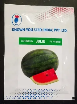 SHOP_BY_CATEGORY__VEGETABLES__MALERKOTLA BEEJ STORE