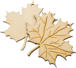 SHOP_BY_CATEGORY_Embellishments__Cliths