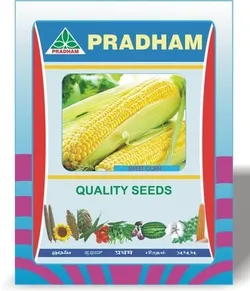 BRAND_CATEGORY_FLOWERS__Pradham Seeds