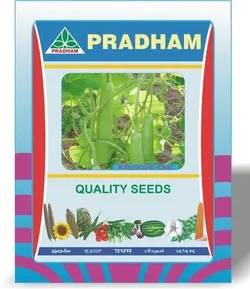 BRAND_CATEGORY_VEGETABLES__Pradham Seeds