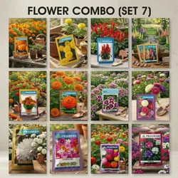 BRAND_CATEGORY_FLOWER_SEED__Pradham Seeds