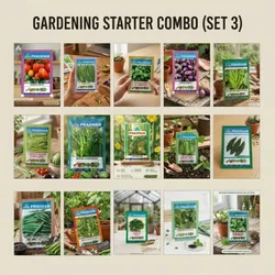 BRAND_CATEGORY_VEGETABLE_SEED__Pradham Seeds