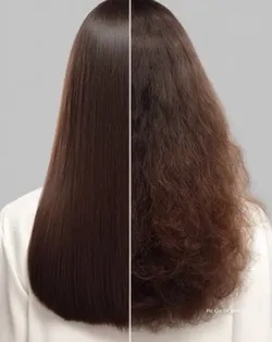 SHOP_BY_CONCERN_DRY_AND_FRIZZY_HAIR__BETEL BOTANICA