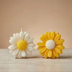 SHOP_BY_CATEGORY_DECORATIVE_CANDLE__Lumora Candle 