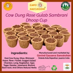 SHOP_BY_CATEGORY_COW_DUNG_HAVEN_CUPS__GAVO HARSHIDDHI 