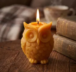 SHOP_BY_CATEGORY_ALL_PRODUCTS__KAL EM CASC