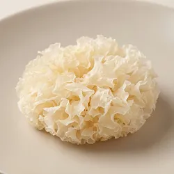 SHOP_BY_CATEGORY_Mushrooms__HRBS
