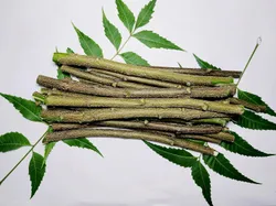 SHOP_BY_CATEGORY_Manual_Toothbrushes__SUNCHAN GROUP