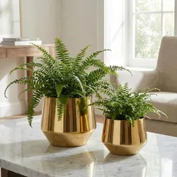 OUR_SPECIALTY__PLANT_POTS__Arts Impex 