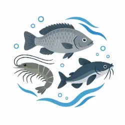 SHOP_BY_CATEGORY_Aqua_Supplements__REFIT ANIMAL CARE 