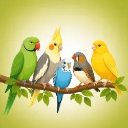 SHOP_BY_CATEGORY_Birds_Supplements__REFIT ANIMAL CARE 