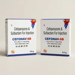 SHOP_BY_CATEGORY_Prescription_Medications__Navshree Pharma