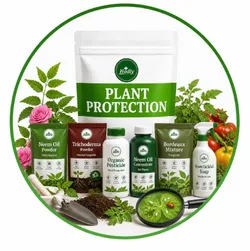 SHOP_BY_CATEGORY_PLANT_PROTECTION__HADLY