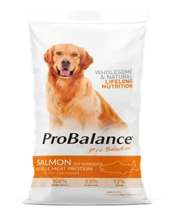SHOP_BY_CATEGORY_PET_FOOD__Petit