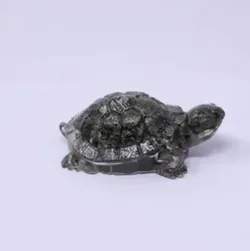 SHOP_BY_CATEGORY_TORTOISE__KRYSTALLIO