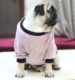 SHOP_BY_CATEGORY_SWEATER__Baeship Studio
