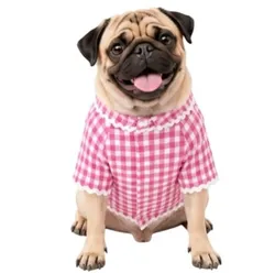 SHOP_BY_CATEGORY_DOG_KURTA__Baeship Studio