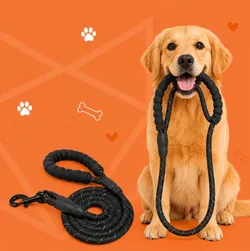 SHOP_BY_CATEGORY_Leash__WOOFLIX