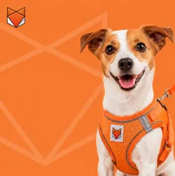 SHOP_BY_CATEGORY_Harnesses__WOOFLIX