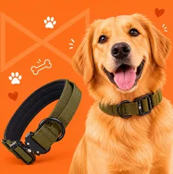 SHOP_BY_CATEGORY_Collar__WOOFLIX